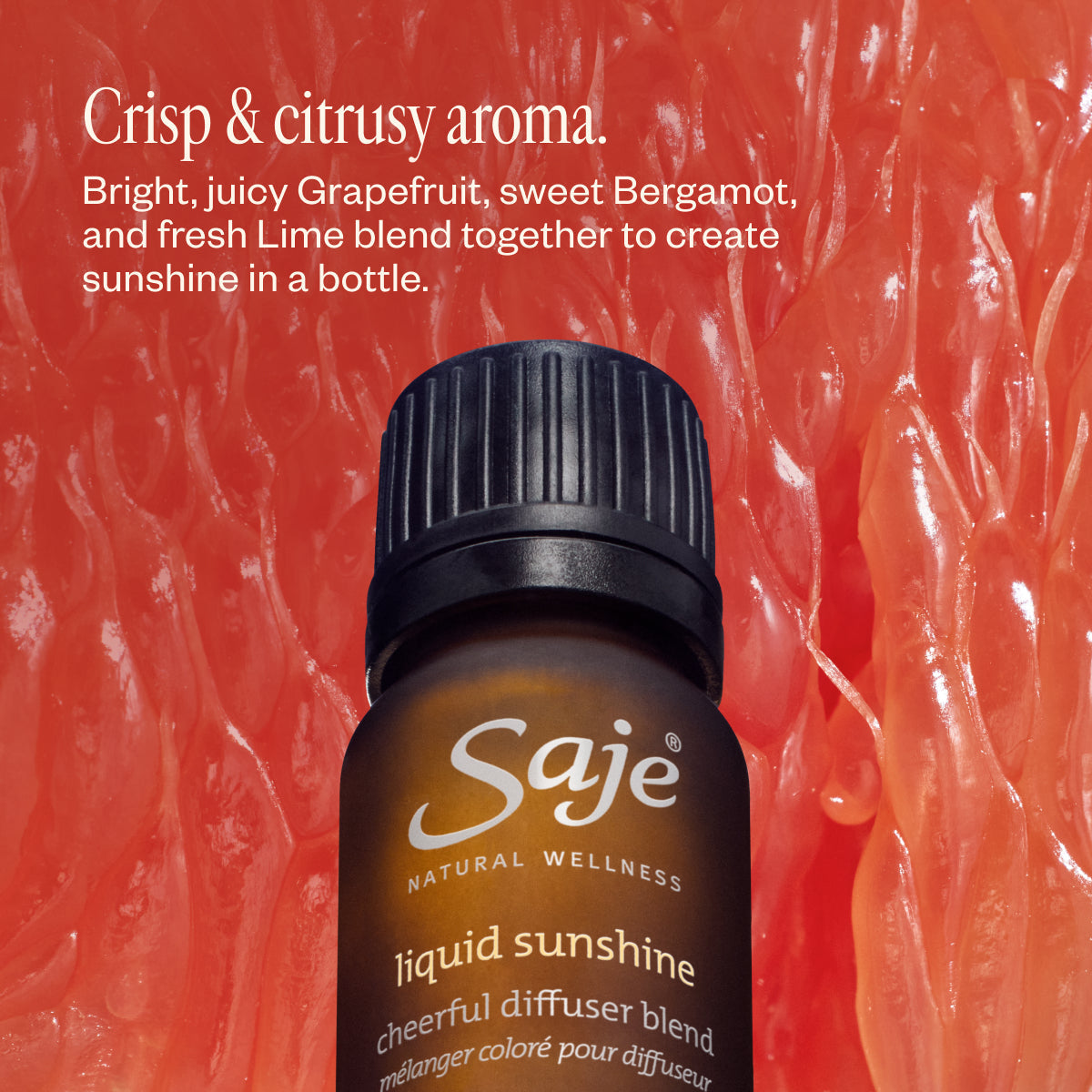 The Best of Saje Bundle